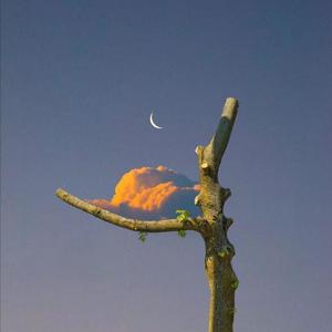 美女心研大尺度写真图片
