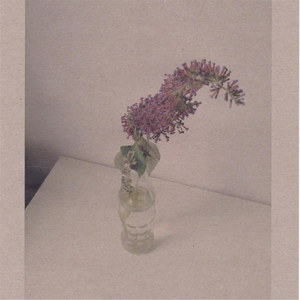 美女心研大尺度写真图片
